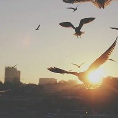 همّي -  عبد القادر قوزع