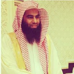 سورة الليل و الضحى - انس العمادي