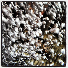 Jack Cade and the Everyday Sinners - The River