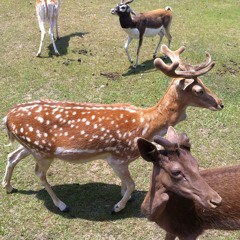 If You Don't Look At The Sky Enough