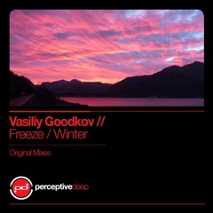 Vasiliy Goodkov - Freeze (Original Mix)