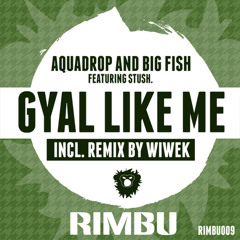 Aquadrop & Big Fish - Gyal Like Me Feat. Stush (Preview) OUT NOW!