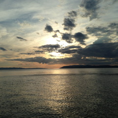 100% RAUSCH Second Try