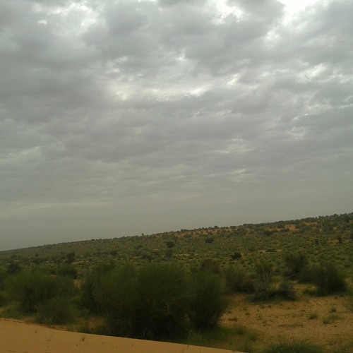 شويرات/ الشنة  at جندر / شبيك /