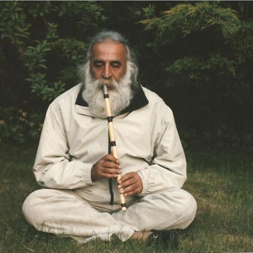 محمدرضا لطفی، حسین عمومی، گفتم غم تو دارم