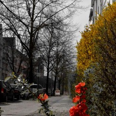 Mai 2014 | VA The Lost Chord