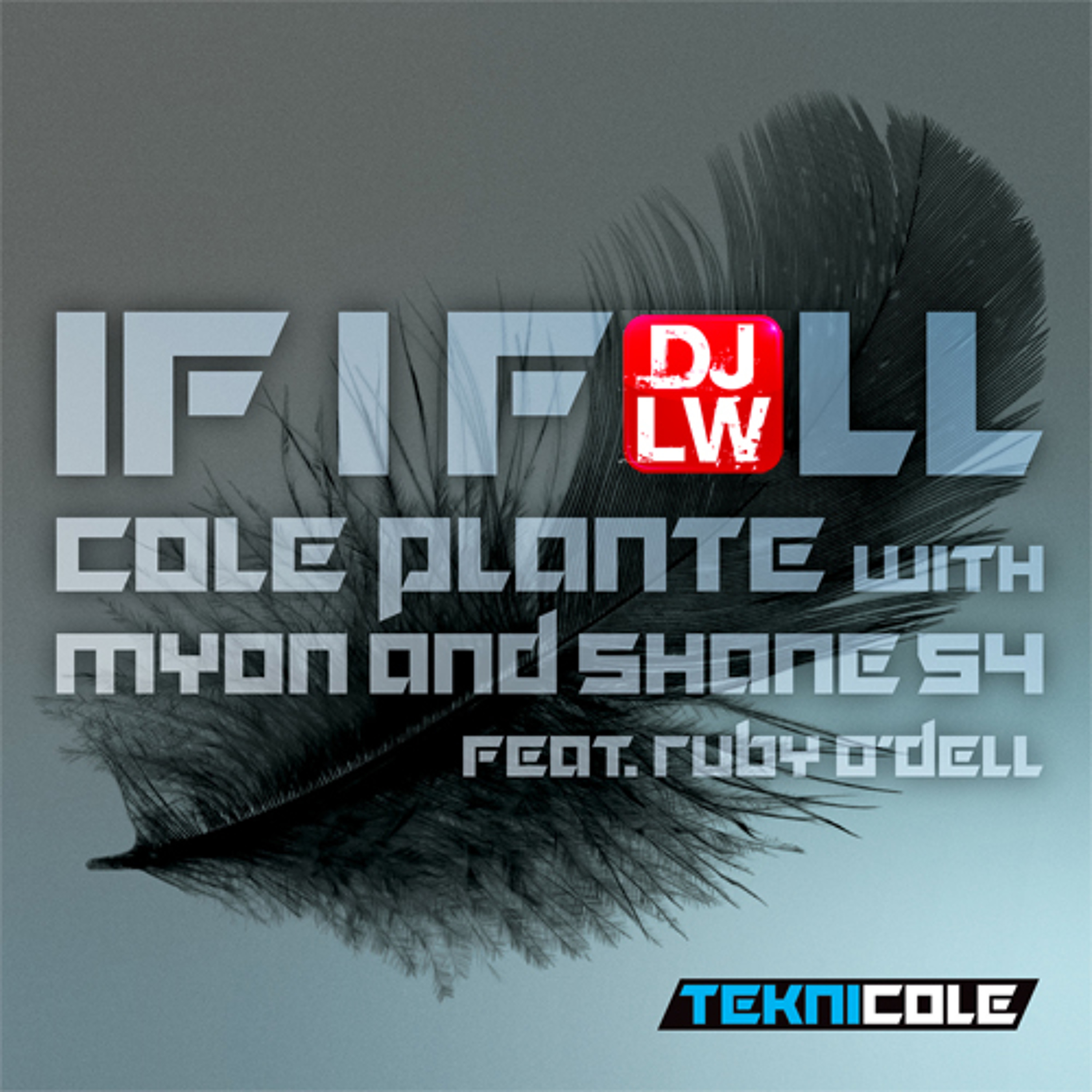 If I Fall (DJLW Radio Edit) episode artwork
