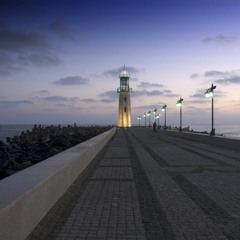 سيد مكاوى - بلدى دمياط