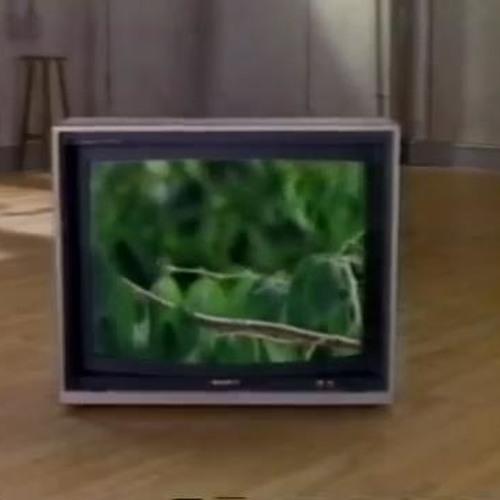 Telepresence