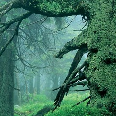 Preperation feat Jah Robinson