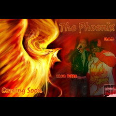 Ladie Diggz & H.O.T.  Racket (snippet)