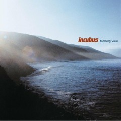 Incubus - Are You In? (Niko the Wanderer Chillout Mix)