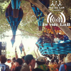 The Do LaB Presents In The LaB Featuring Aaron Snapes At Lightning In A Bottle 2013