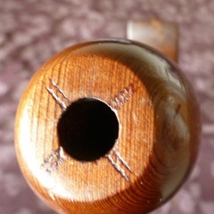 Redwood Sings