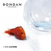Cover Lagu - Bondan Prakoso - I Will Survive