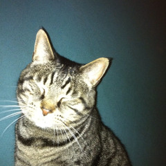 How could you not love me?