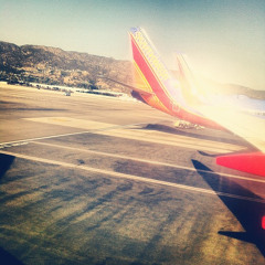 Flight 135