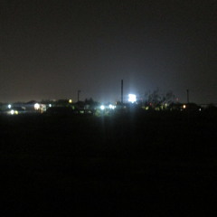 Weird frog ambiance after the monsoon, Chiang Mai