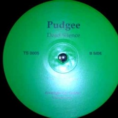 Pudgee - Kill you