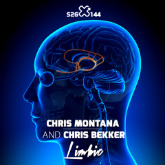 Chris Montana & Chris Bekker "LIMBIC"