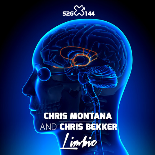 Chris Montana & Chris Bekker "LIMBIC"