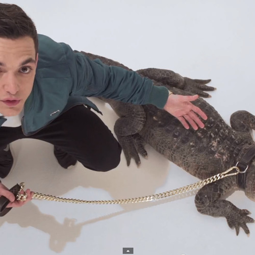 Alligators   C. Tangana [Agorazein]