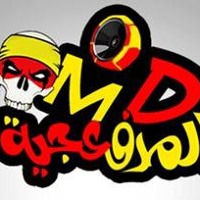 Ahmed Hamzawy S Stream