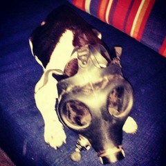 Birra recalentada en microondas