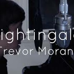 Trevor Moran (Nightingale Demi Lovato Cover)