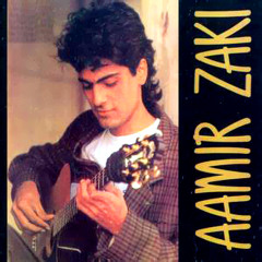 The Day She Left - Aamir Zaki