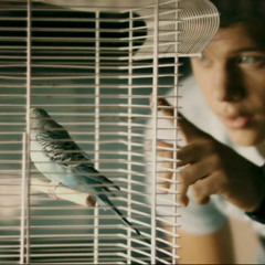 No matter what - Terre