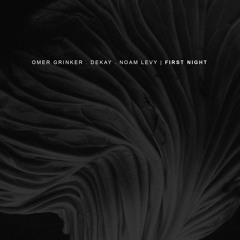 Omer Grinker & Noam Levy - Mistakes