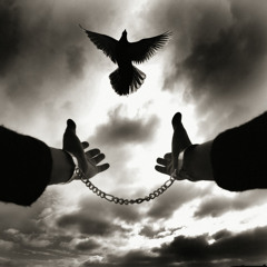 Do What We Wanna Do MAzZ