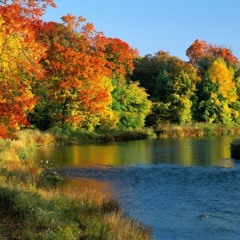 A Practice for Focus