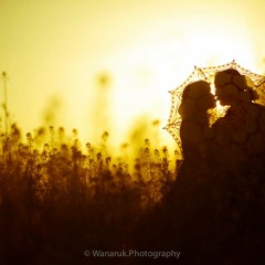 Cover - คนแพ้ที่ไม่มีน้ำประปา-Ost-อย่าลืมฉัน - เบิร์ด