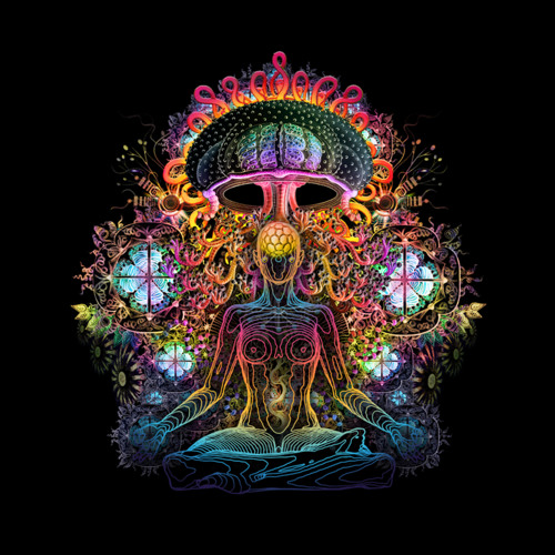 The Lost Chronicles: Alien Rainforest = Find Yourself Within