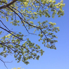 On Some Faraway Beach (Brian Eno)