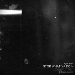 Stop What Ya Doin - Celph Titled [IDress Remix] [rpm down]