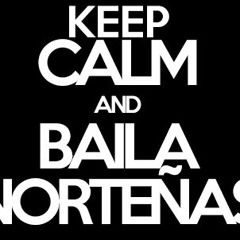 Dj Gallo ( Los Principez De La Musica Nortena Vs. La Furia Del Bravo