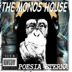 DYNAMITA MENTAL _ MONOS HOUSE