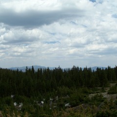 The Scientist Acapela Choir [messing around @ 2 AM]