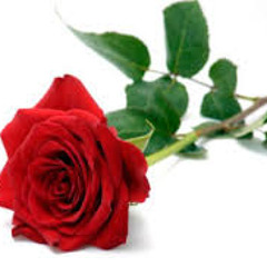 6M/23K - DJ MiPs (Mixing & MiPsing: DJ Koze, AGF, Ellen Allien & Saschienne)