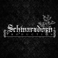 Schwarzdorn Production Player
