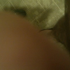 Midnight at Mockingbird Station (DART Rail)