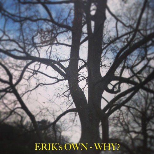 Why (Final Version)