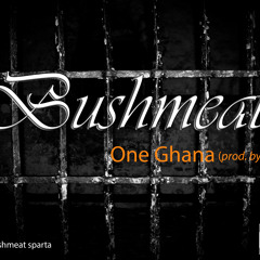 BUSHMEAT - ONE GHANA ( HAPPY TIME RIDDIM) (Prod By Wenzy Muziq)