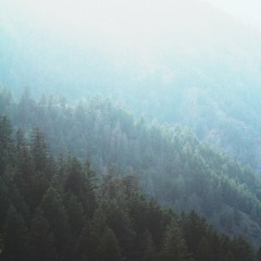 Chasing Mirrors - Dharma