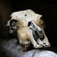 Bone & Grave - Dead Horse Creek