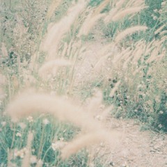 รักหนอรัก