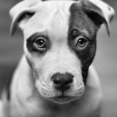 me and you (jake bugg)